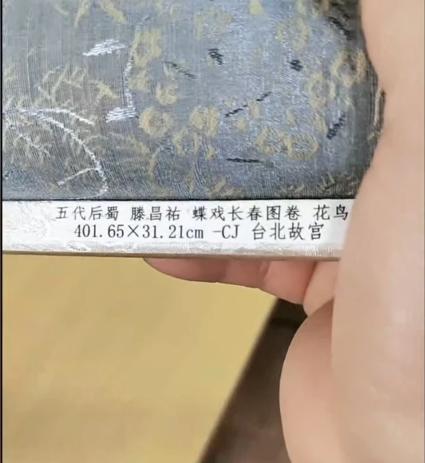 五代后蜀  滕昌祐 蝶戏长 图卷花鸟401.65x31.21cm-CJ台北故宫