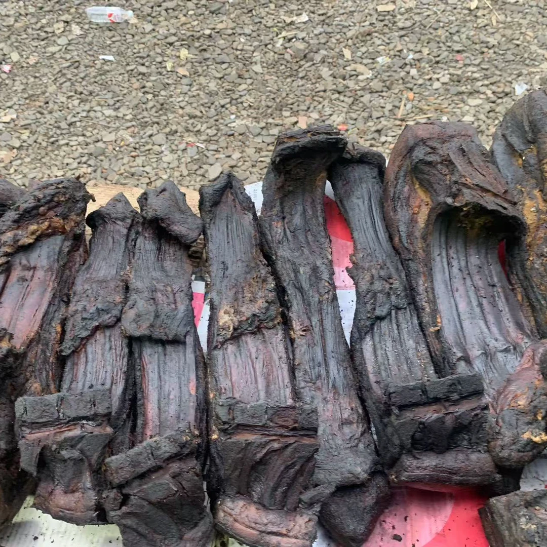 农家粮食土猪腊肉直播间现场挑选