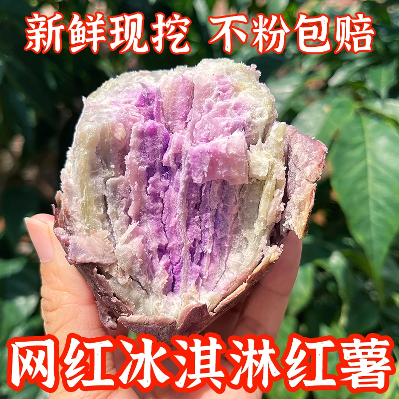 茂名冰淇淋番薯粉糯香甜沙地红薯新鲜现挖5斤9斤3斤