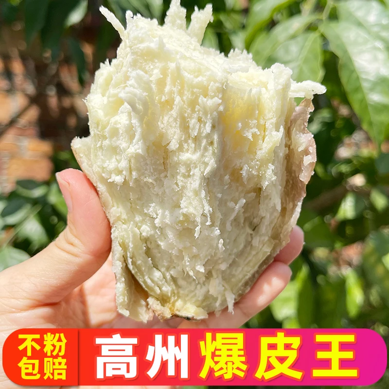 【正宗高州爆皮王】番薯坏果包赔新鲜现挖粉糯香甜地瓜白心红薯2斤