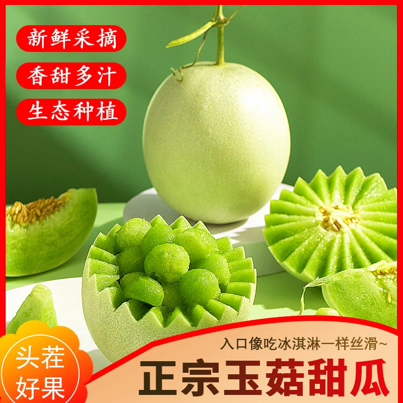 冰淇淋玉菇甜瓜白玉茹翡翠蜜瓜应当季新鲜香甜多汁香瓜哈密瓜水果