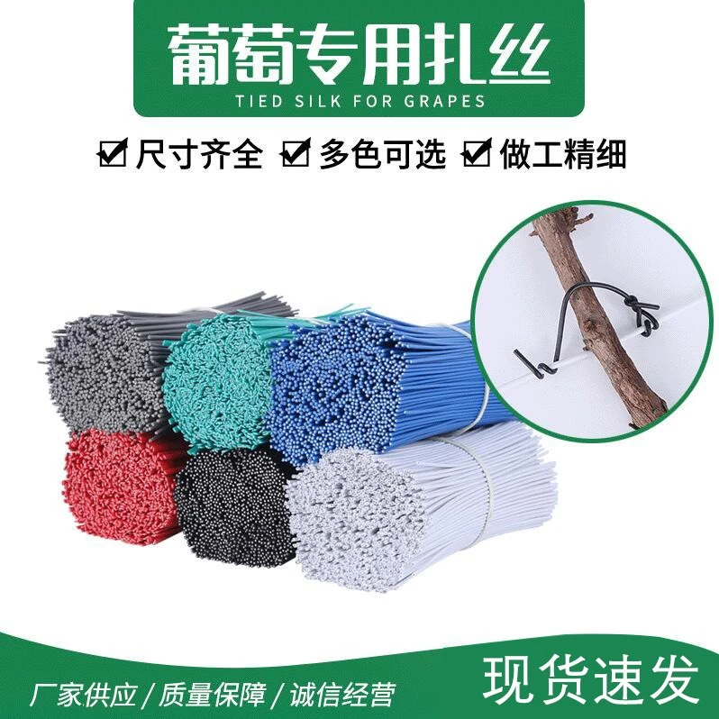 葡萄枝扎丝扎带批发电镀锌铁丝芯包塑铁丝园艺园林捆扎线捆绑带条