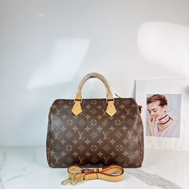 95新 LouisVuitton/路易威登 路易威登波士顿30枕头包/Niko