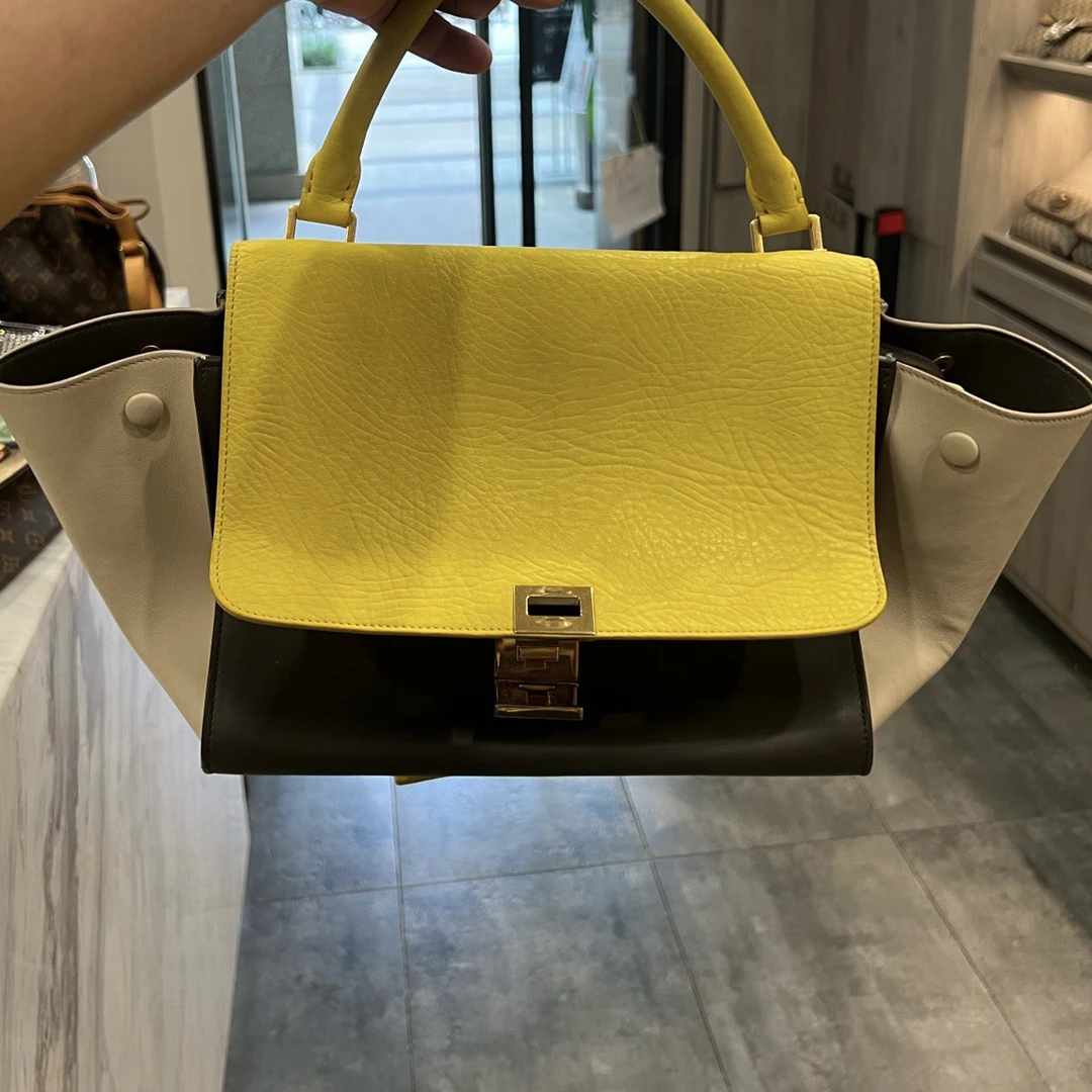 95新 Celine/思琳 鲶鱼拼色手提包秋千包/gd