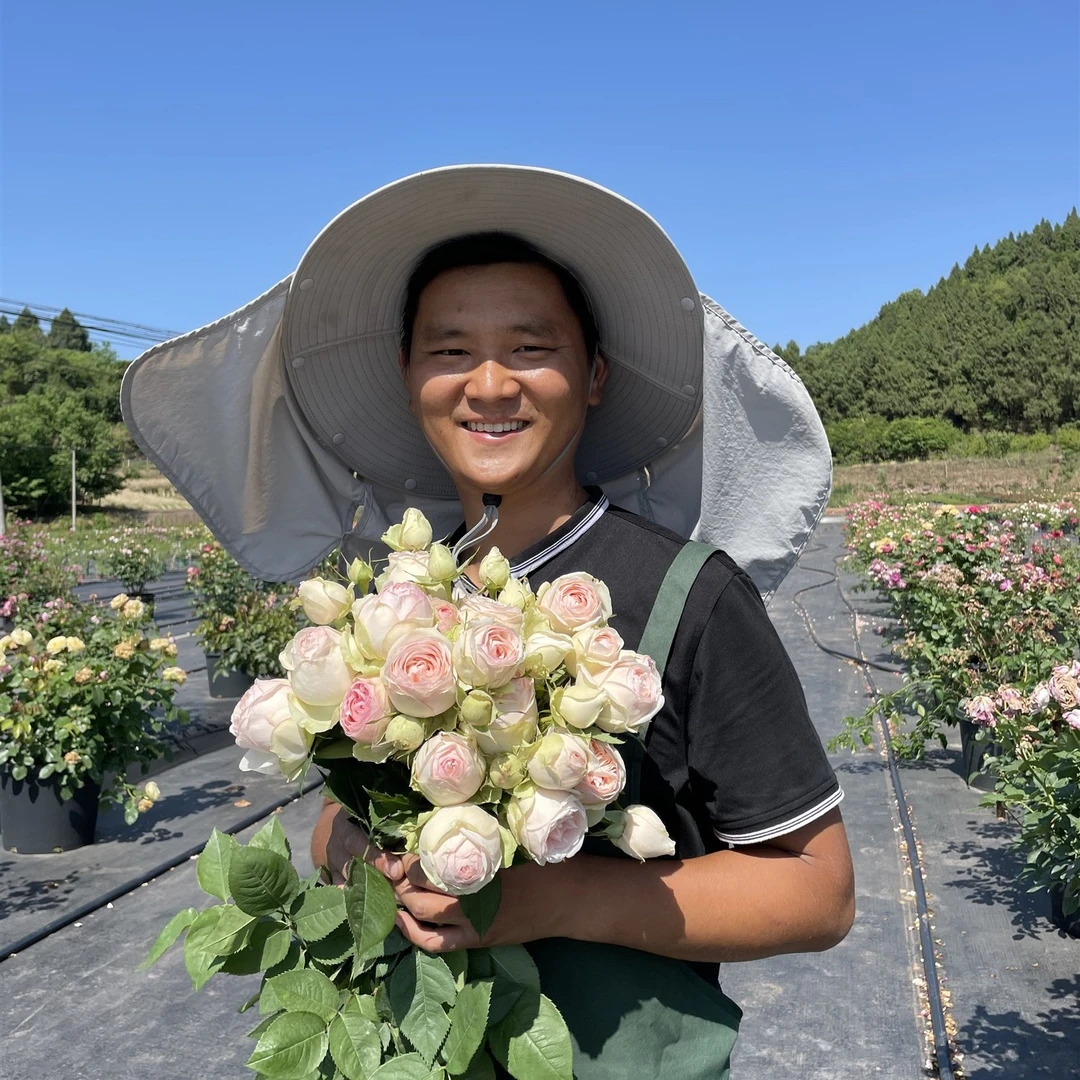 黑哥的花园宜然园艺直播间灌木藤本月季多季节重复开花临时链接