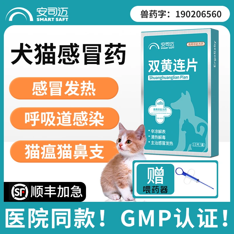 狗狗感冒猫鼻支宠物咳嗽腹泻流鼻涕犬窝咳嗽症状消炎鼻涕塞幼猫