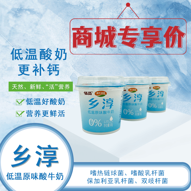 【铭品酸奶】福利品乡醇纯净低温原味酸牛奶100g/5盒益生菌酸奶