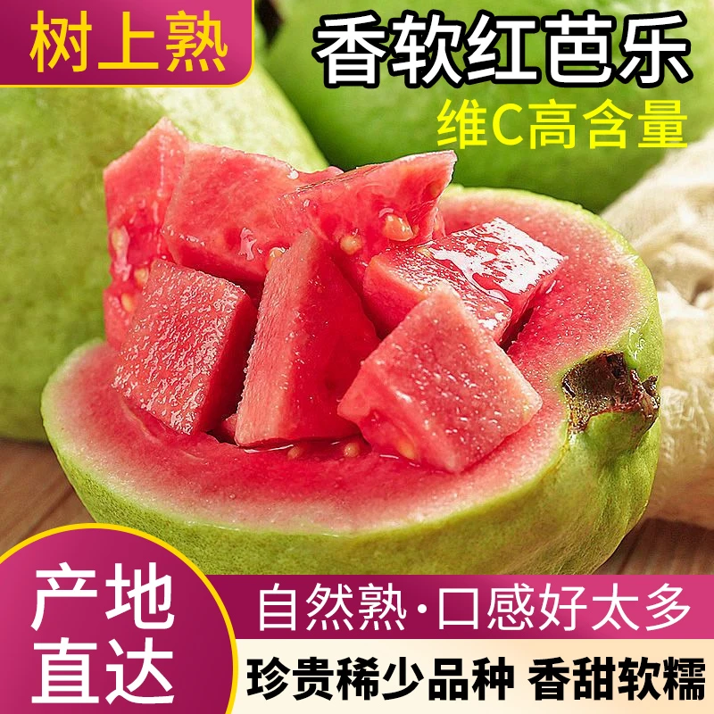 福建漳州当季软心红心白心番石榴新鲜水果香软芭乐鸡屎果5斤