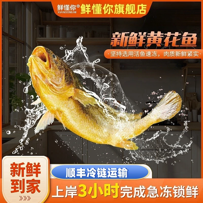 XIANDONGNI/鲜懂你新鲜放养黄花鱼海鲜单条8/9两新鲜捕捞当天拍次日到达炸鱼
