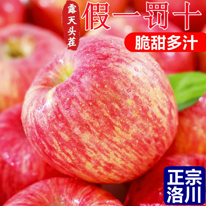 正宗陕西延安洛川苹果当季新鲜水果整箱批发高山脆甜红富士冰糖心