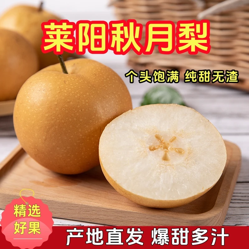 【正宗莱阳秋月梨】纯甜无渣口感细腻口口爆汁新鲜当季产地直发