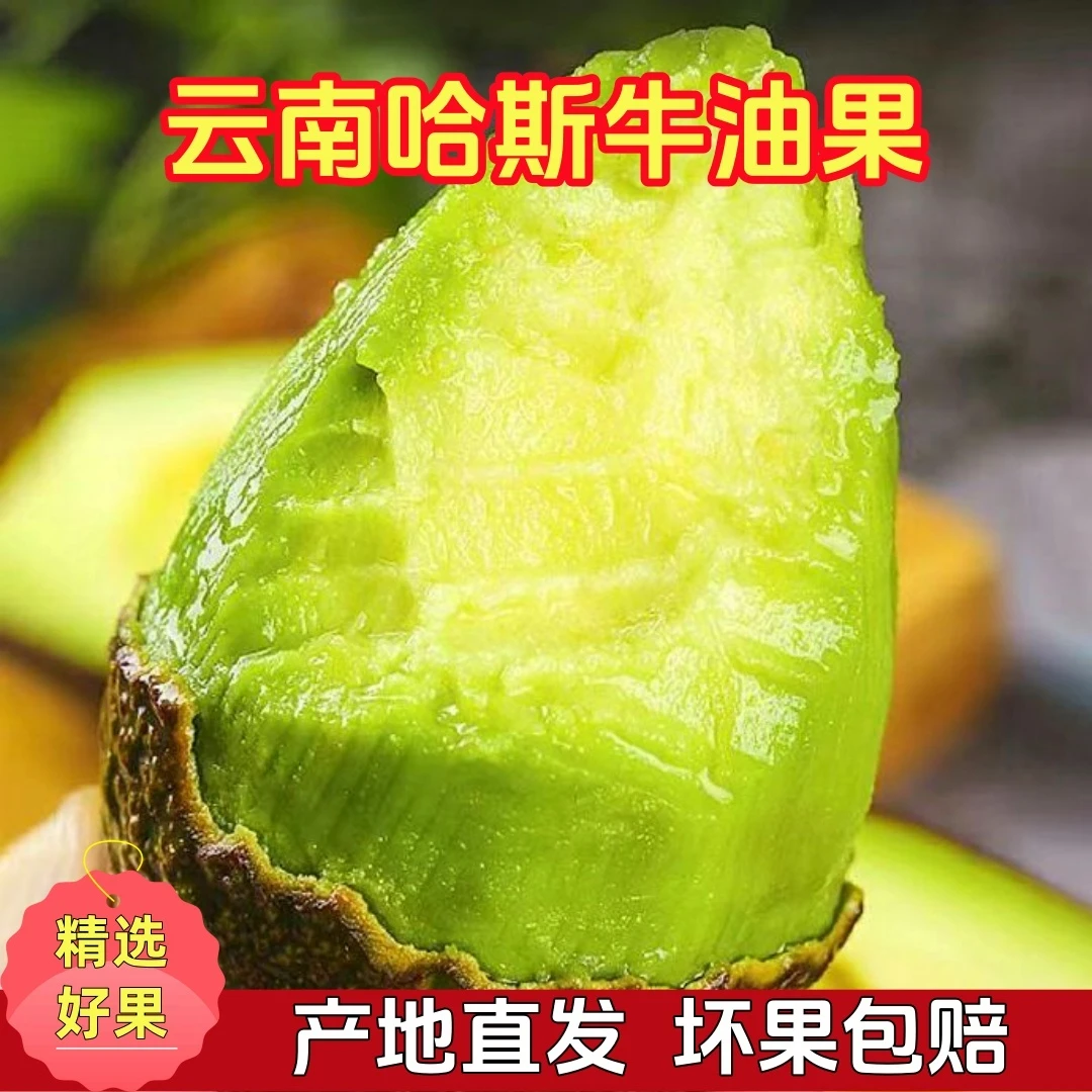 【细腻醇香】云南哈斯牛油果冰淇淋口感新鲜当季健康营养代餐辅食