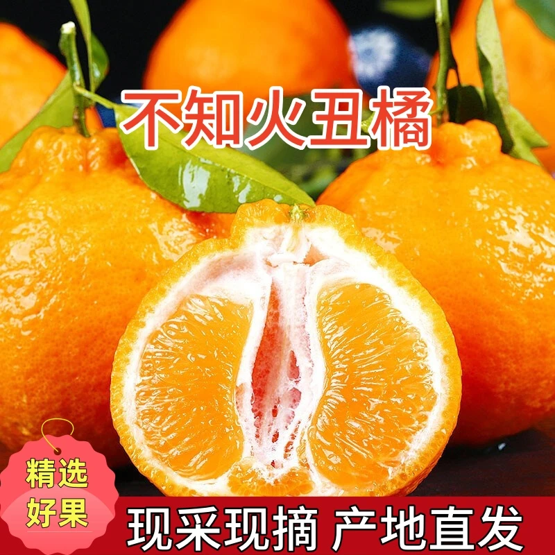 【不知火丑橘】正宗四川不知火丑橘现采现摘产地直发