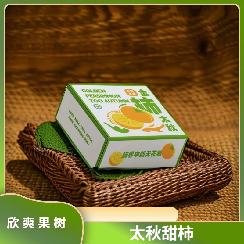 金柿太秋有机太秋甜柿礼品装6枚装湖南长沙果园基地直发高品质