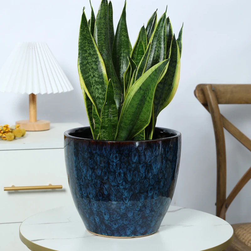 花盆陶瓷轻奢高级感蓝色欧式简约室内家用客厅虎皮兰专用植物盆栽