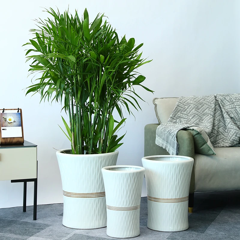 陶瓷花盆特大号高款客厅家用绿萝散尾葵白色发财树金钱树专用惠兰