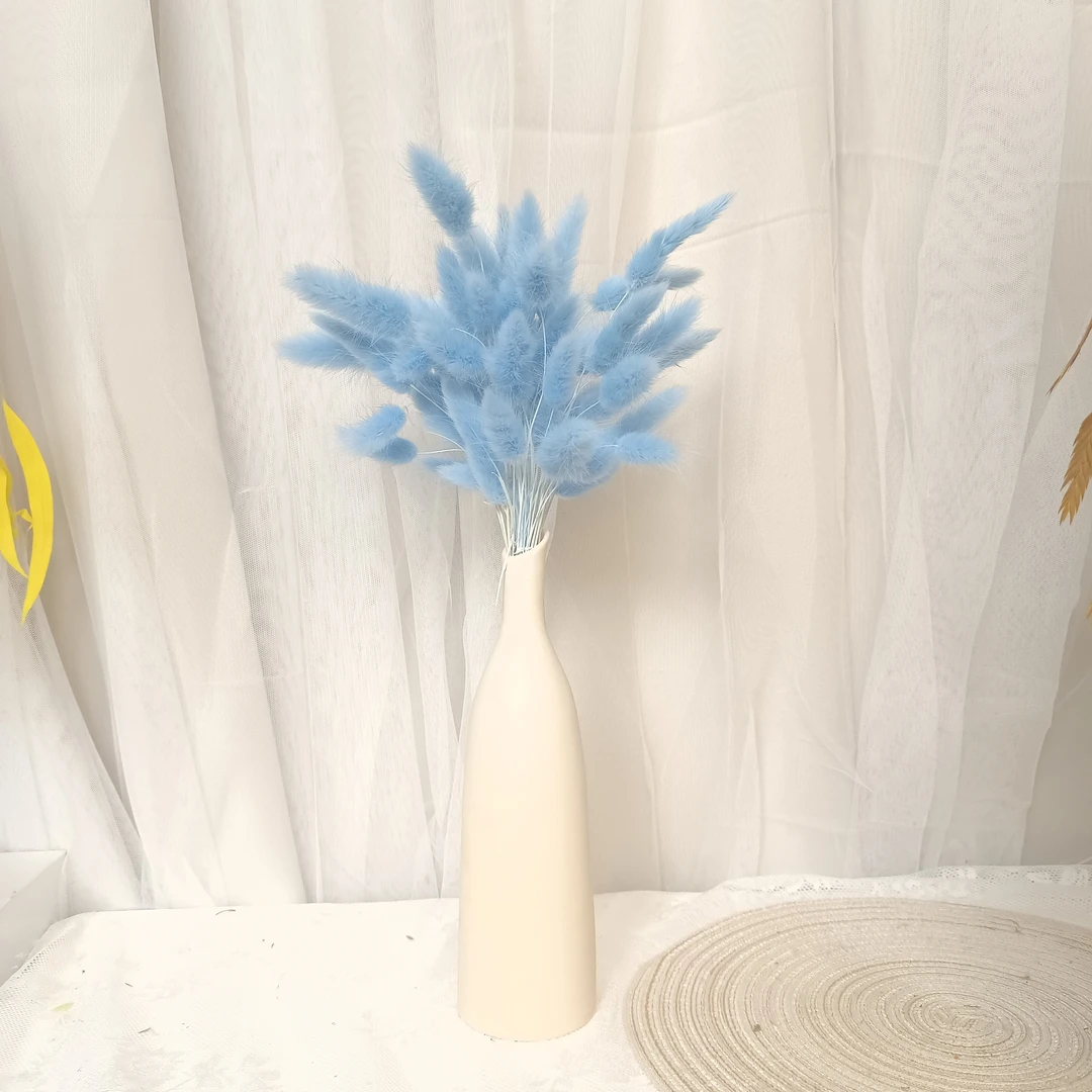 草木知 | ［小兔尾］兔尾草干花花束家居装饰摆件ins网红家居客厅