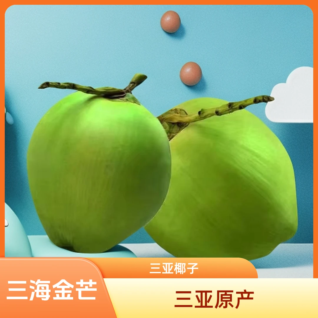 三海金芒【三亚直发椰子】海南鲜带皮椰子热带水果天然大果口感醇厚