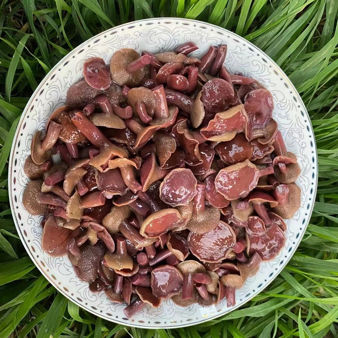 红乳牛肝菌盐水菌精选天然食用野生菌挑选特产嫩滑火锅餐饮凉拌炒
