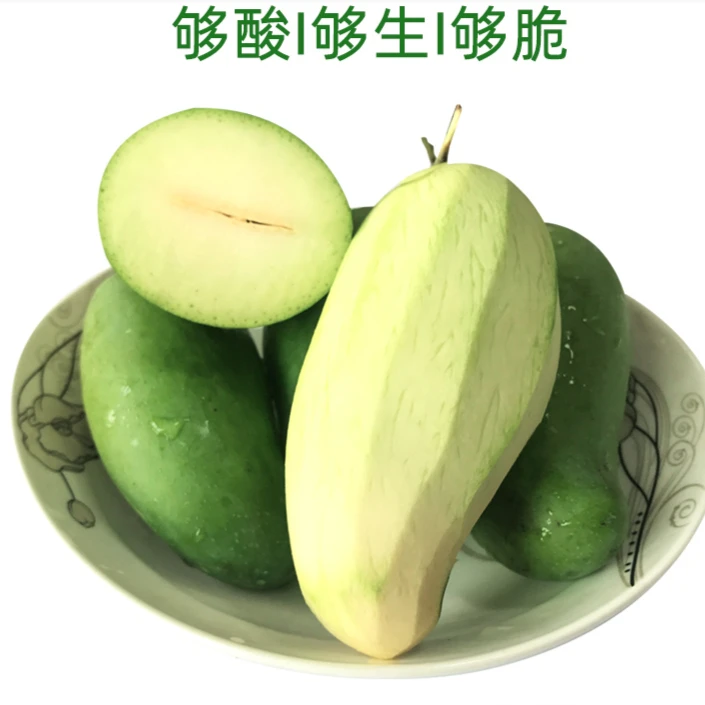 高州库区四季芒生吃爽脆新鲜现摘芒果2斤5斤9斤包邮