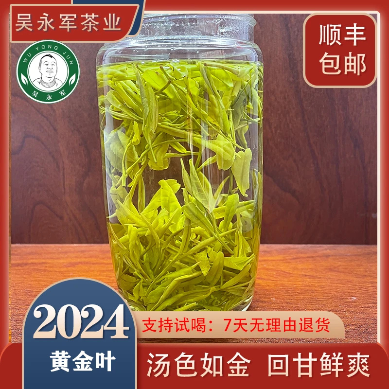 &2024年春茶新茶258黄金叶