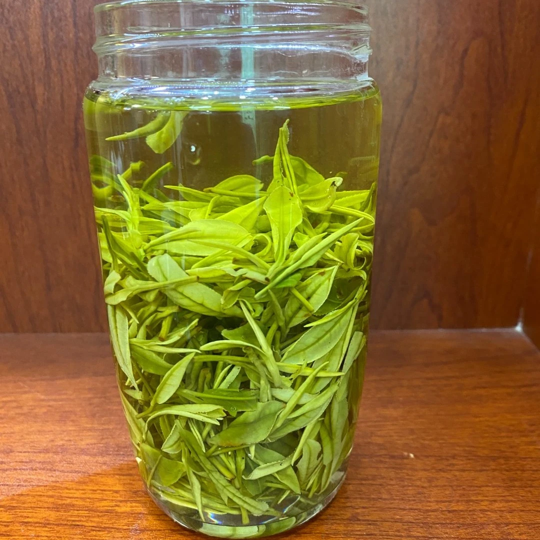 *2023年春茶新茶白银级安吉白茶-250g-500g
