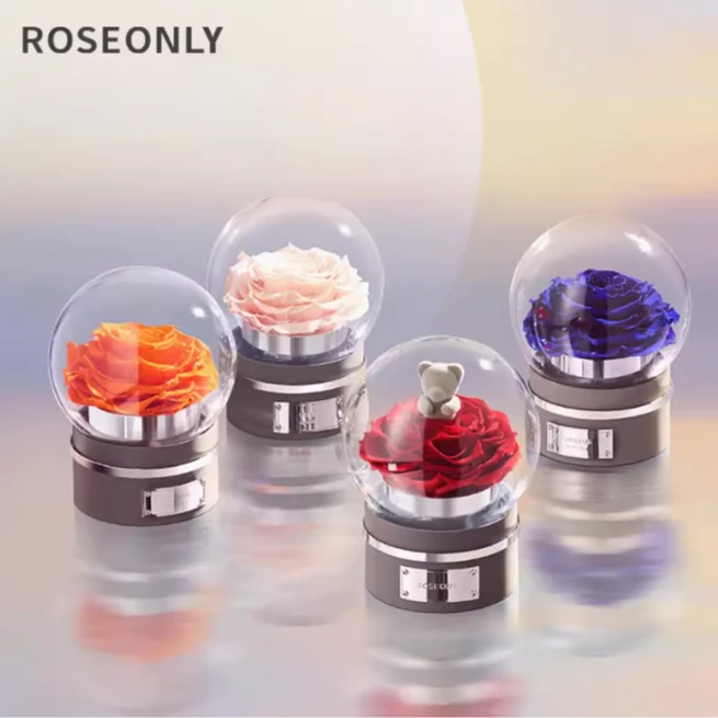 ROSEONLY诺誓12星座音乐球永生玫瑰花情人节礼物送女友