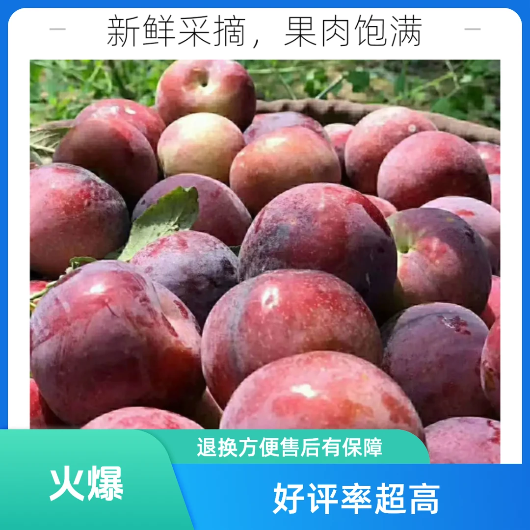 东北甜酸李子3斤/5斤甜味酸味酸甜包赔发货
