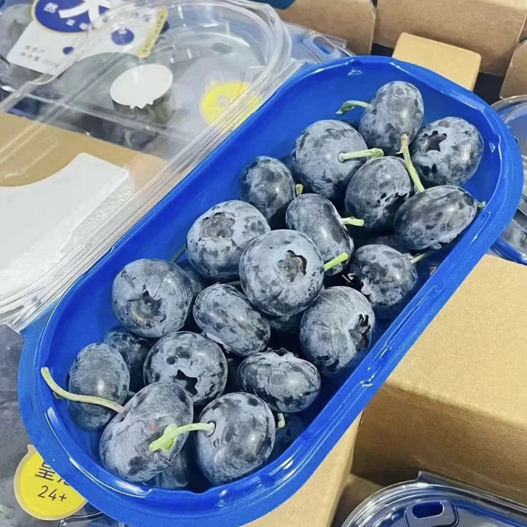 云南24+超大粒蓝莓