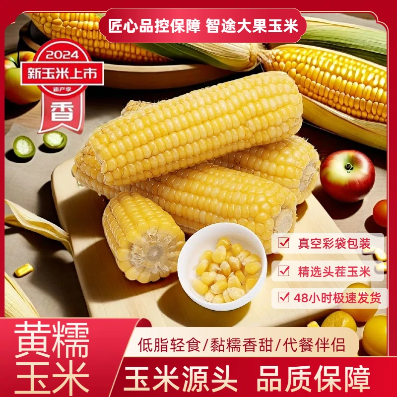 【试吃2根】24年头茬东北黄糯玉米整箱10根6.5-7斤真空包装智途专属
