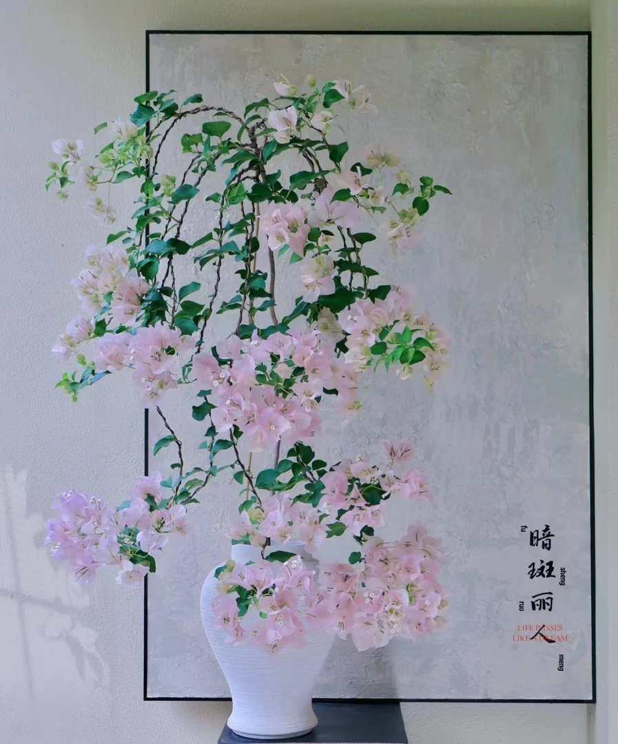 【暗斑丽人】三角梅 勤花品种 一物一拍下单送肥料