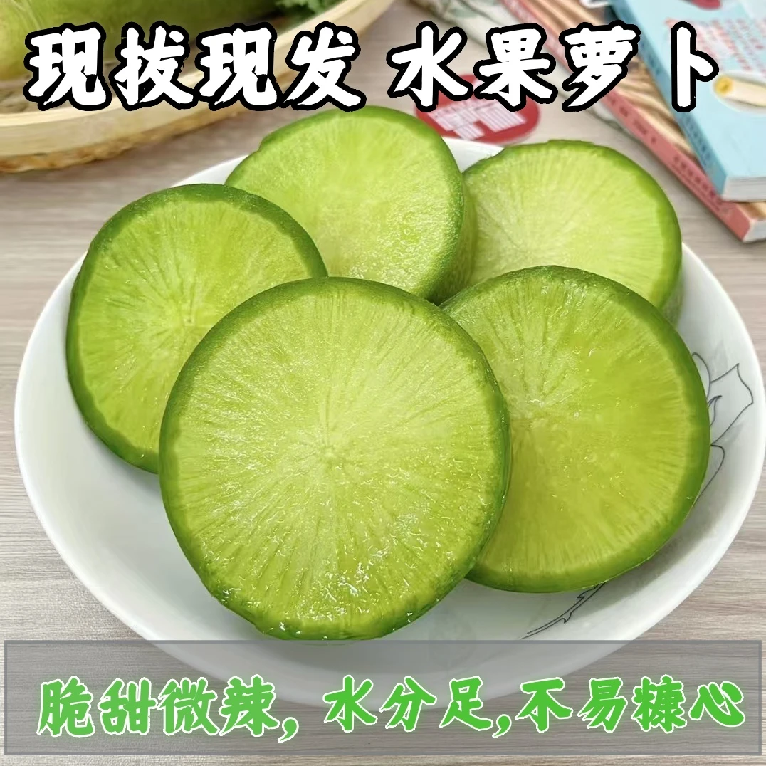 【巨划算】正宗水果萝卜现拔现发/水果萝卜清脆甜口新鲜应季/包邮
