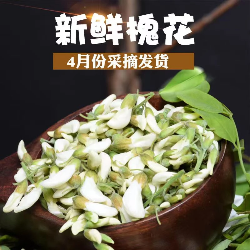 (主播力推)河南新鲜洋槐花野生洋槐花骨朵槐米现摘野菜刺槐花苞鲜