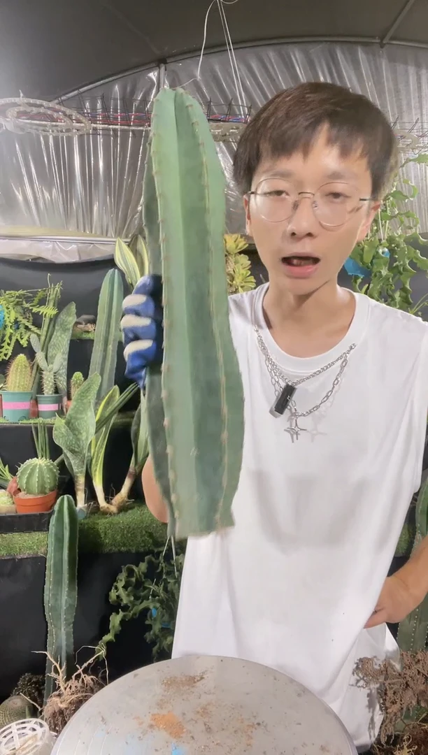 【闪购商品】无根量天尺40厘米15.8