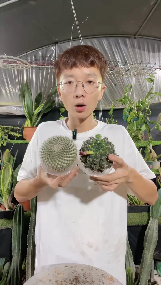 【闪购商品】玉翁+非花玉9厘米