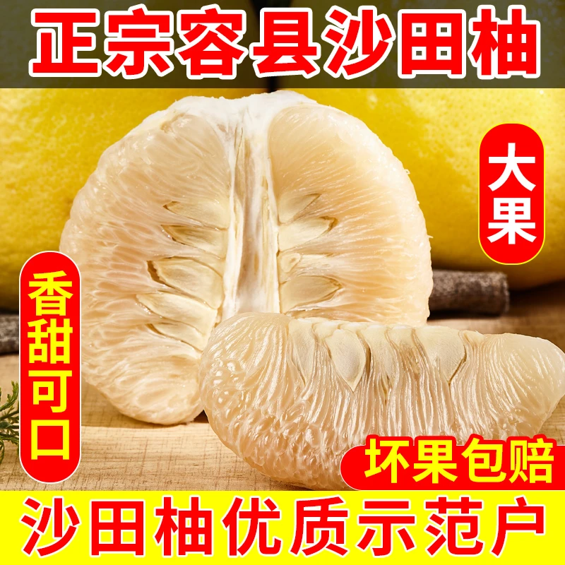 容县沙田柚广西水果正宗白心柚香柚纯甜当季水果产地直销整箱包邮