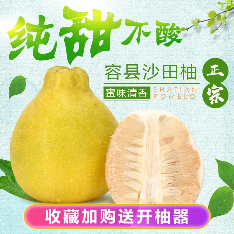 水果批发整箱广西容县沙田柚白心柚子产地直销非梅州金柚礼盒顺丰