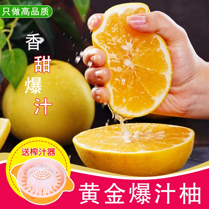 [带枝带叶]黄爆汁柚 新鲜现摘 柚子4.5/8.5斤