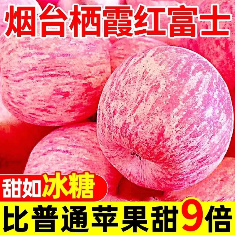 正宗烟台红富士苹果
