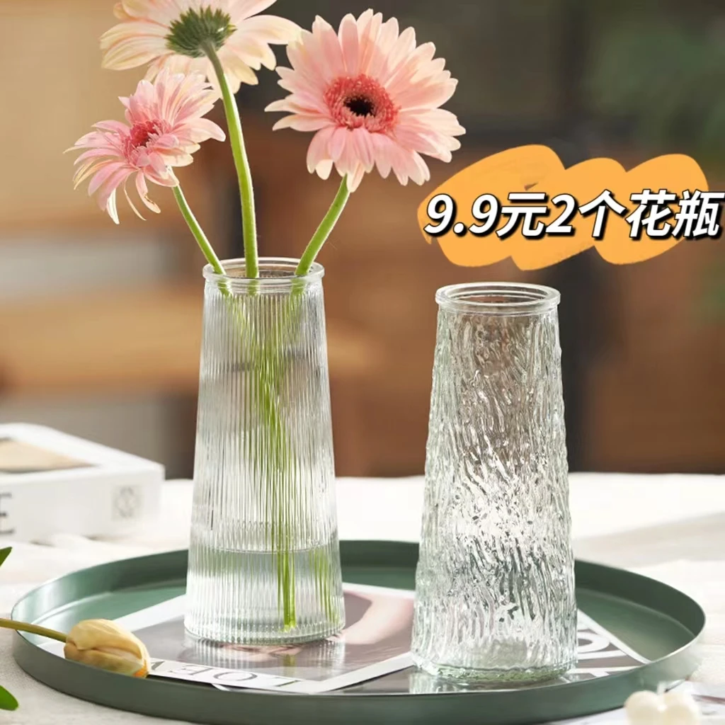 【两件套】北欧玻璃花瓶网红同款水养鲜花富贵竹花瓶客厅插花摆件