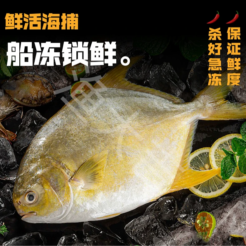 渔大吉湛江本港金鲳鱼整鱼鲜活速冻未杀金鲳鱼5条装（400-500g/条）