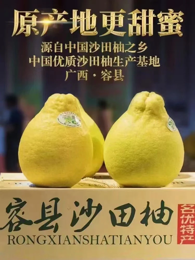 广西容县沙田柚正宗沙田柚广西容县甄选原产地多汁包赔饱满细嫩