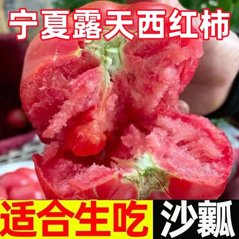 露天西红柿纯天然当季薄皮产地直发现摘新鲜自然成熟产地直发