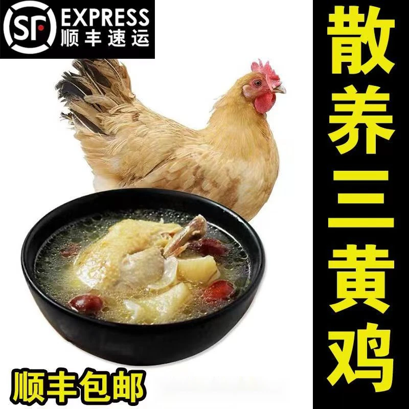 农家散养新鲜三黄鸡680g土鸡冷冻新鲜现杀整只白条鸡童子鸡非老鸡
