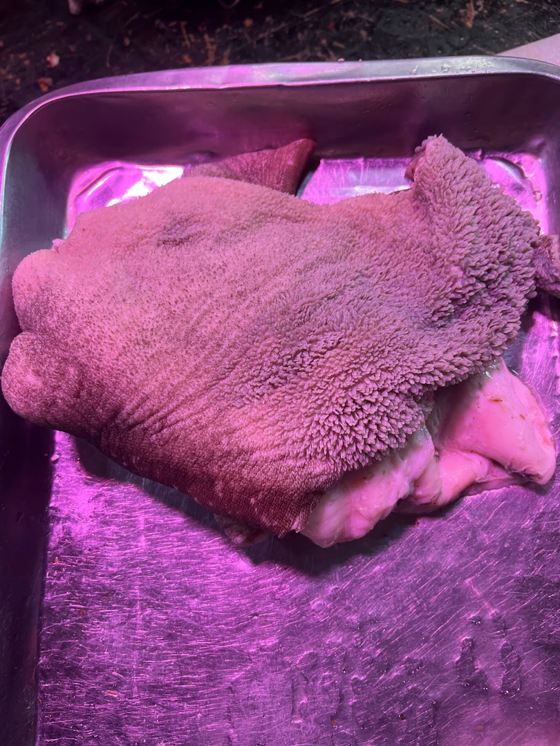 新鲜黑牛肚5斤包邮到家
