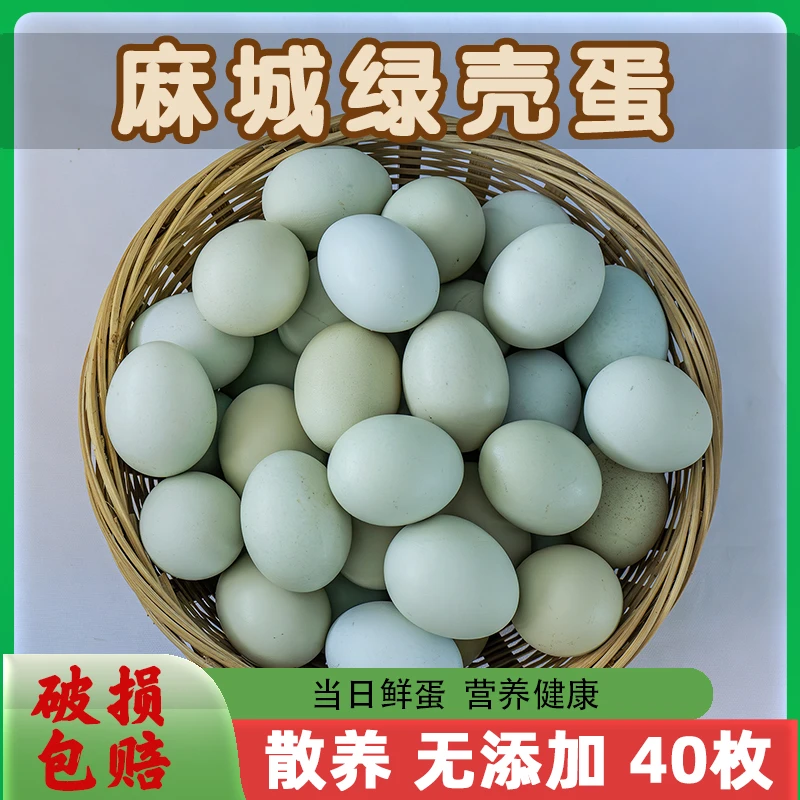 「味来优品」大别山散养绿壳蛋月子蛋早餐营养健康高山农家放养包赔