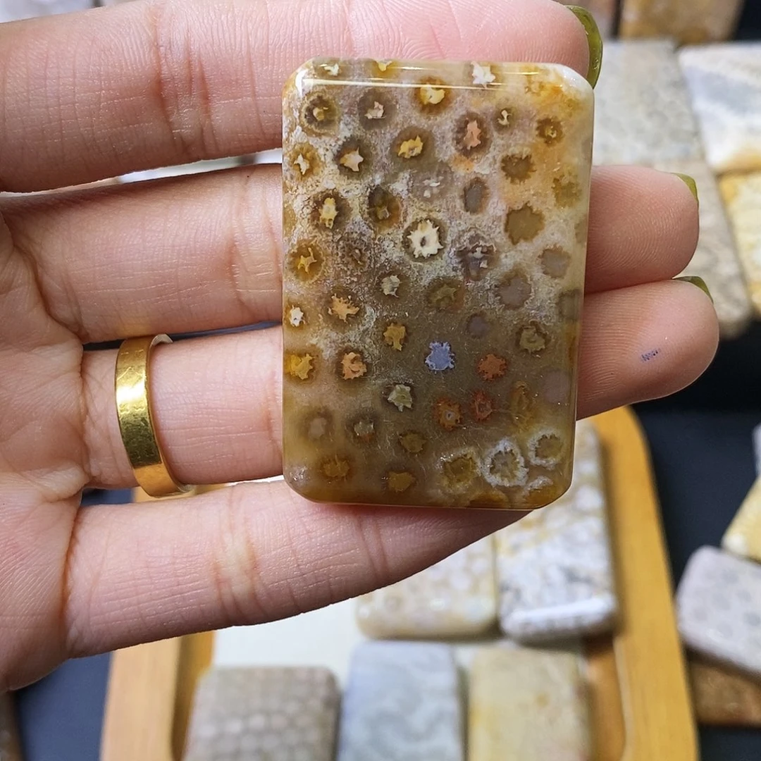 硅化玉颈饰足银镀金镶嵌云**