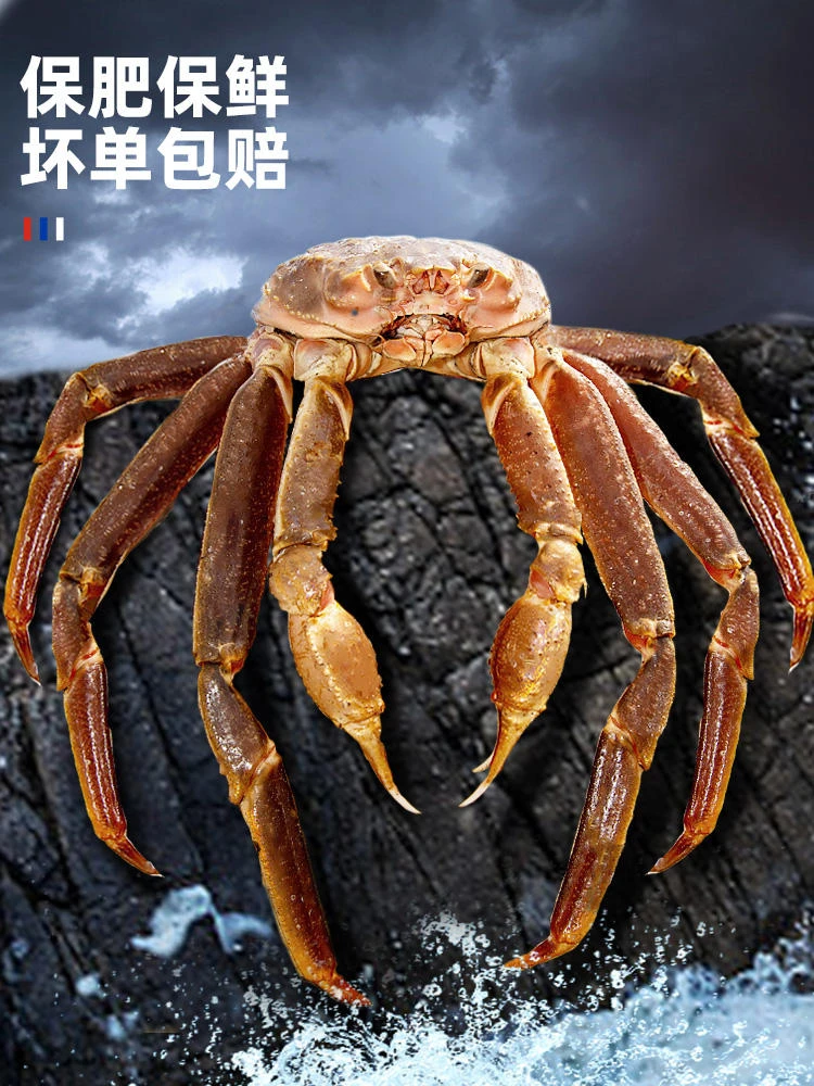 【清水海鲜】冰鲜直播现称压冰锁鲜顺丰直达包鲜包肥