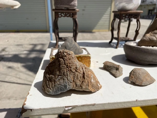 灵璧石直播间订单专拍