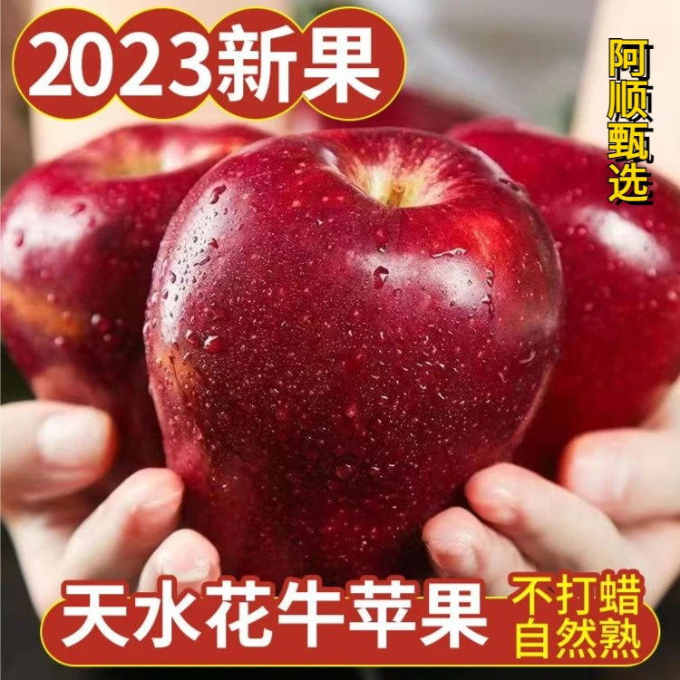 原产地3-9斤甘肃天水花牛苹果新鲜水果当季整箱红果粉面丑果现货